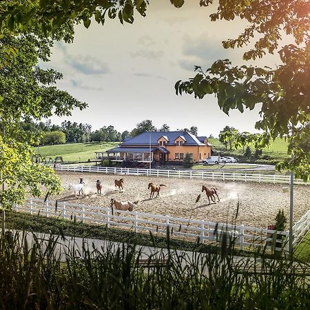 Hotel Horse Riding - Jezdecky Areal Tršice Екстериор снимка