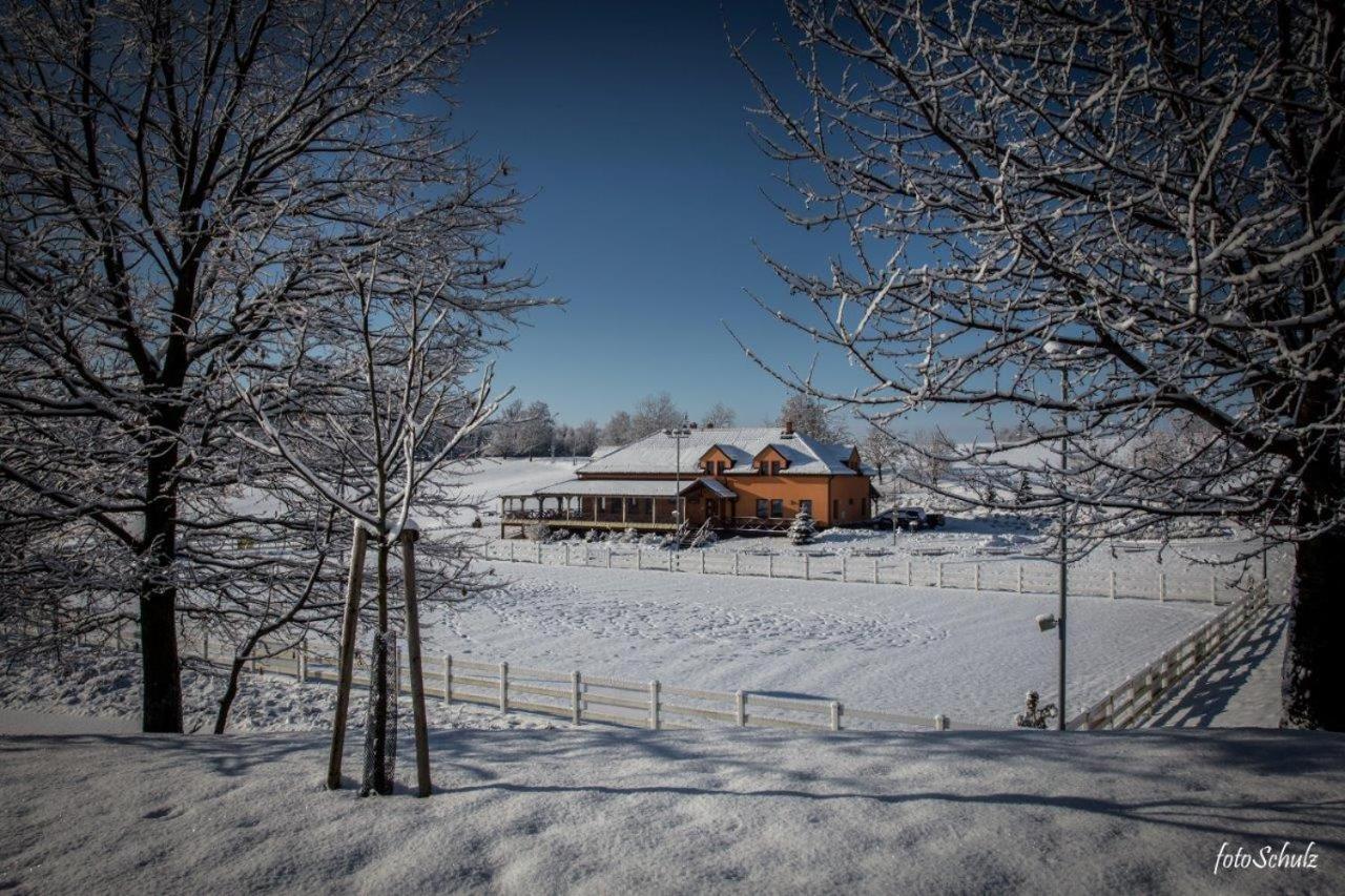 Hotel Horse Riding - Jezdecky Areal Tršice Екстериор снимка