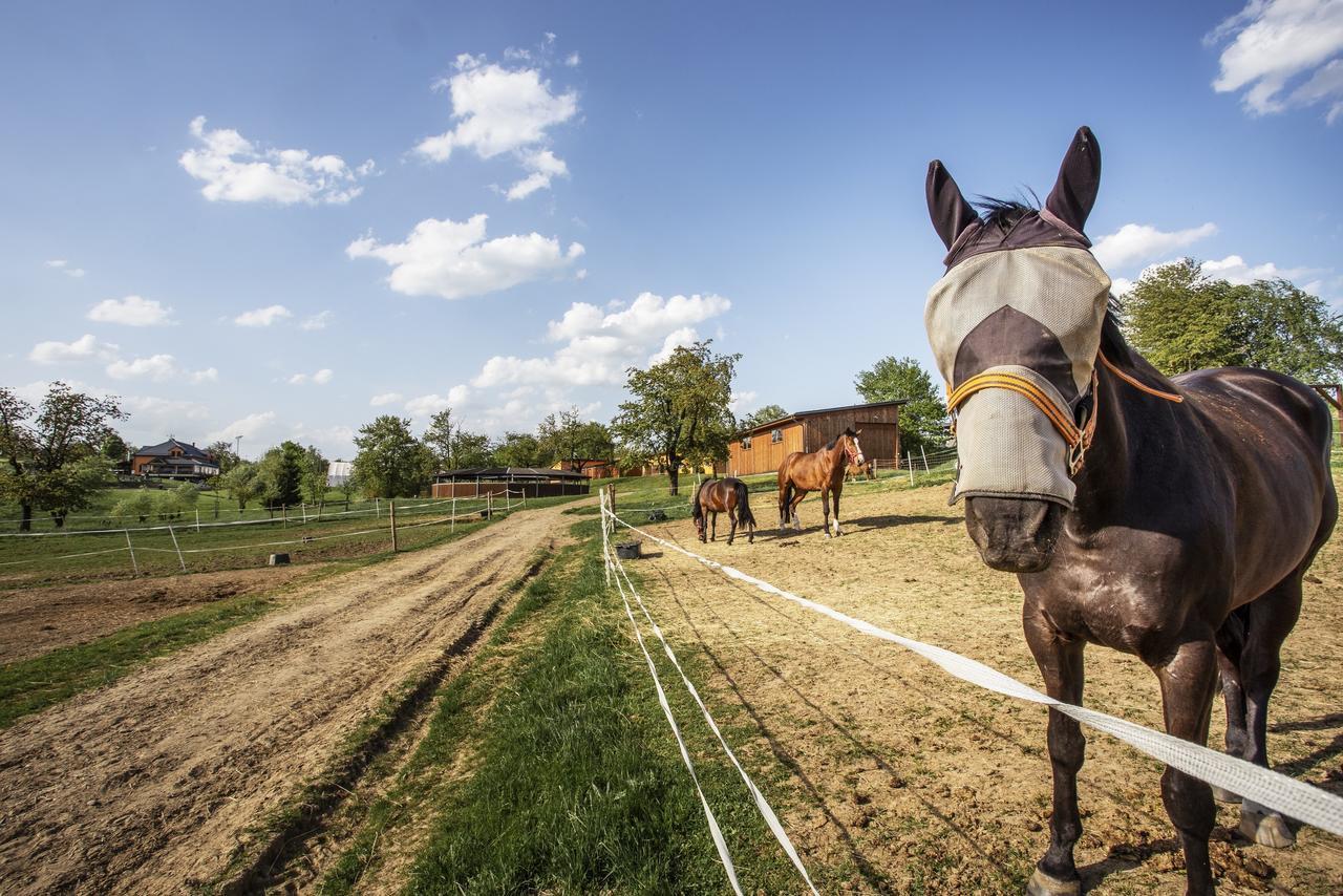 Hotel Horse Riding - Jezdecky Areal Tršice Екстериор снимка