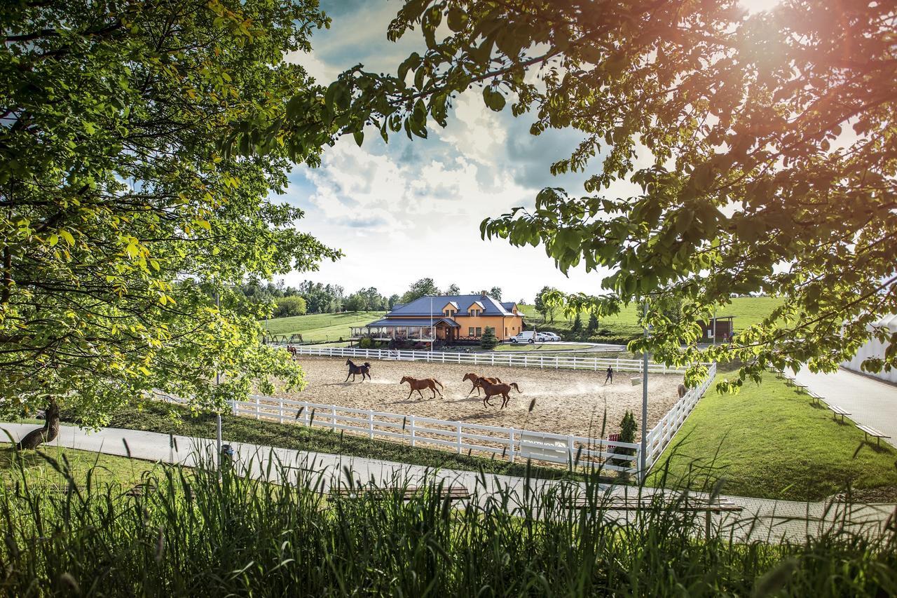 Hotel Horse Riding - Jezdecky Areal Tršice Екстериор снимка