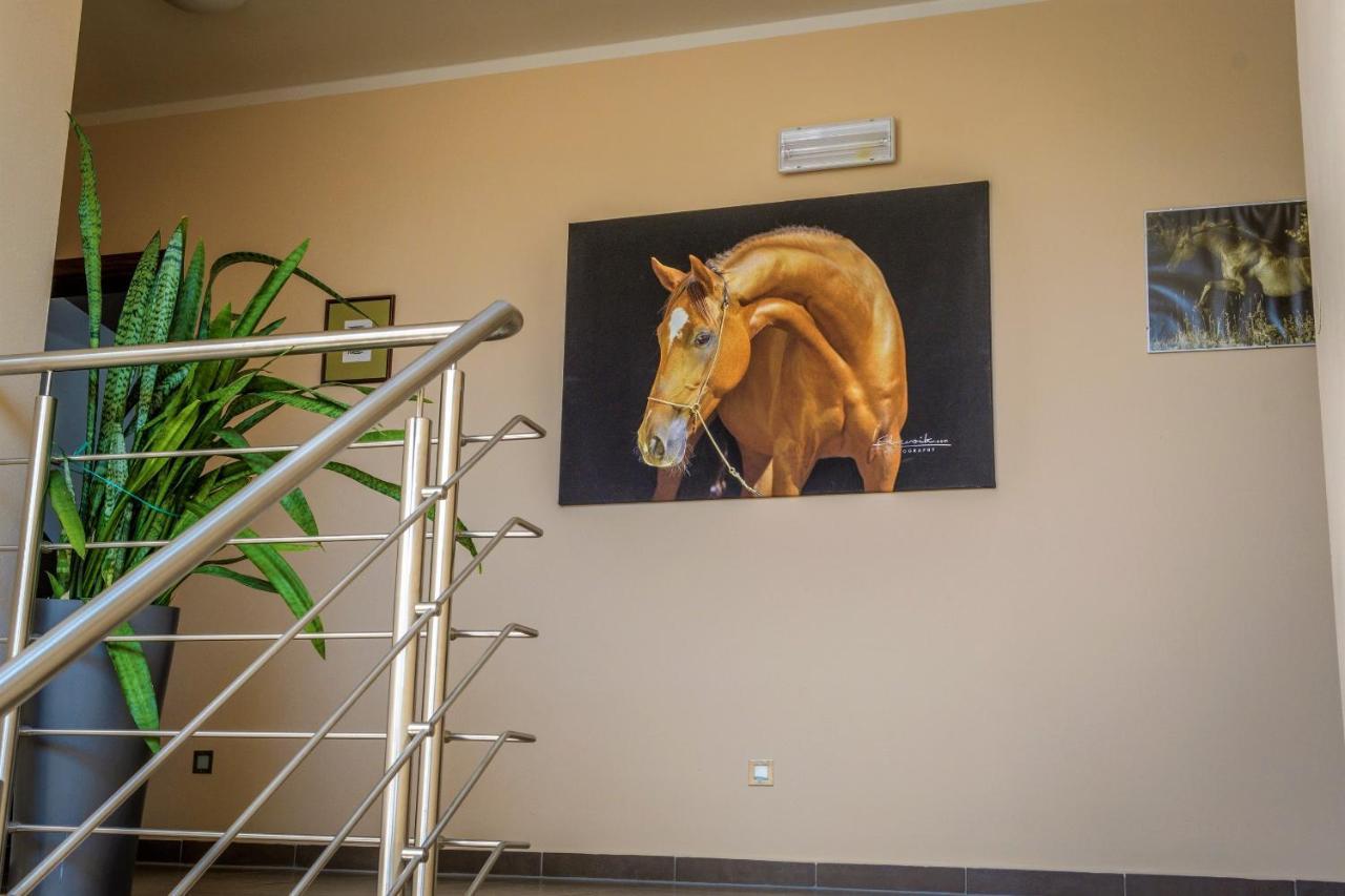 Hotel Horse Riding - Jezdecky Areal Tršice Екстериор снимка