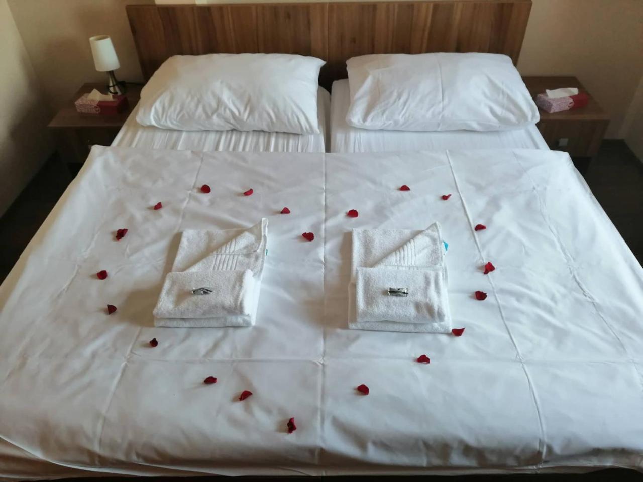 Hotel Horse Riding - Jezdecky Areal Tršice Екстериор снимка